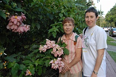 0332 Cairns Botanic Gardens